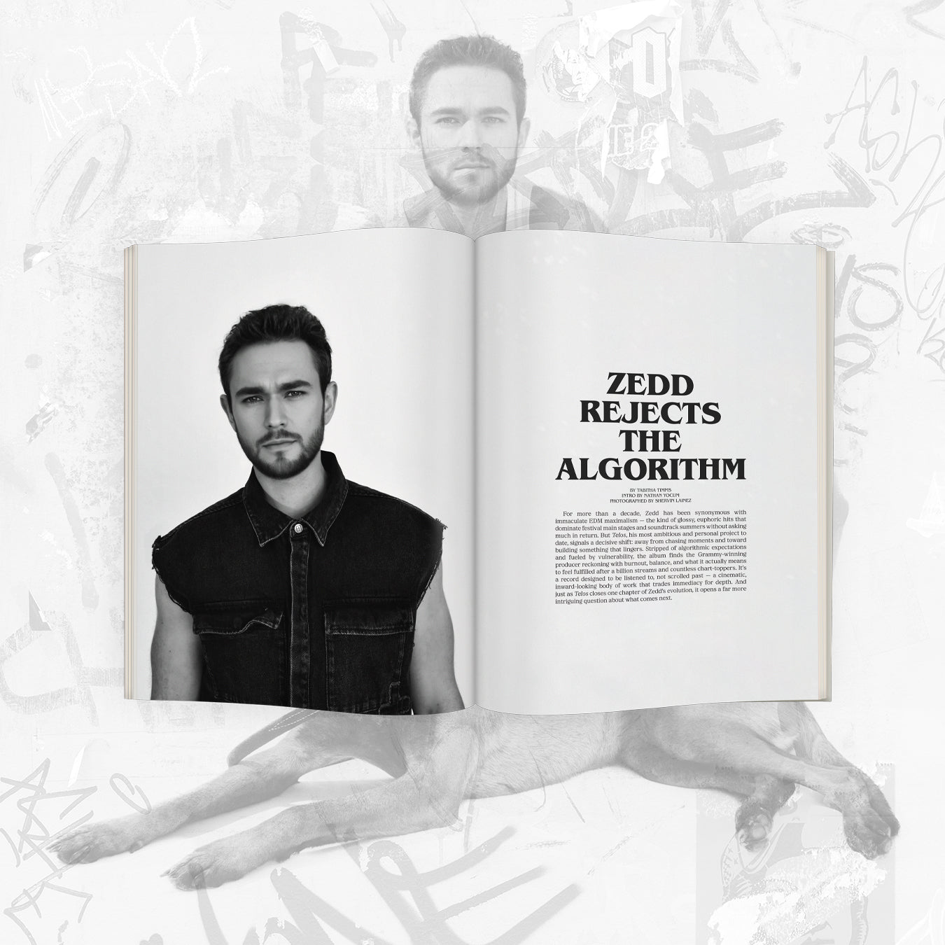Hit Parader #3: Zedd Edition